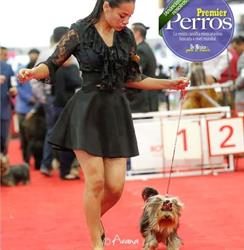 Horario de apertura Animal Spa, Veracruz