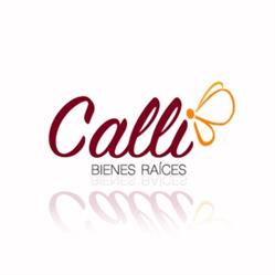 Calli Bienes Raíces en Puebla (Colonia Santa Cruz Buena Vista) - Horario de apertura