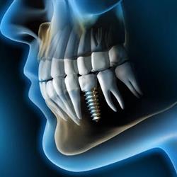 Horario de apertura Dental Leal, Ciudad Allende