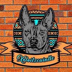 Xoloitzcuintle food mx en San Juan del Río (México) - Horario de apertura