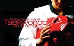 Horario de apertura Instituto Taekwondo Olímpico de México Tlatlauquitepec, 