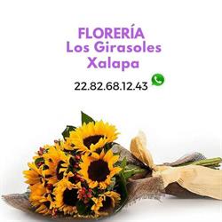 Horario de apertura Florería Los Girasoles Xalapa, Xalapa Enríquez