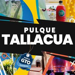 Horario de apertura Pulquería Tallacua, Valle de Santiago