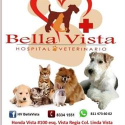 Horario de apertura HV BellaVista, Guadalupe