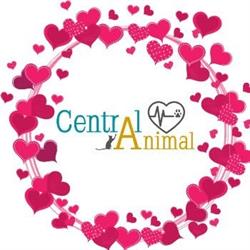 Central Animal en Puerto Vallarta (Gaviotas) - Horario de apertura
