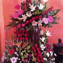 Floreria Gaby en Chihuahua (Dale) - Horario de apertura