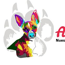 Horario de apertura Clínica Veterinaria Albeitar, Puebla