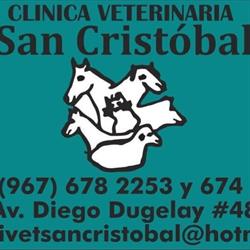 Horario de apertura Clinica Veterinaria San Cristobal, San Cristóbal de las Casas