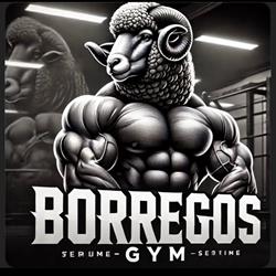 Horario de apertura Borregos Gym, Puebla