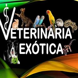 Horario de apertura Veterinaria Exótica, Morelia