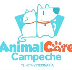 Horario de apertura Animal care Campeche, San Francisco de Campeche