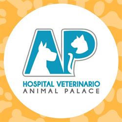 Hospital Veterinario Animal Palace en Metepec (San Francisco) - Horario de apertura