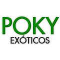 Poky Exoticos en Tepic (Centro) - Horario de apertura