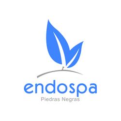 Horario de apertura EndoSpa, Piedras Negras