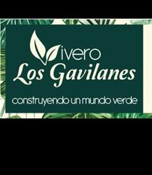 Horario de apertura Vivero los Gavilanes, General Escobedo