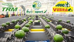 Agroexport Internacional Avocados en Uruapan (Jucutacato) - Horario de apertura
