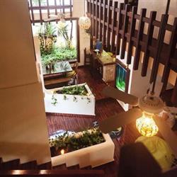 Horario de apertura Happy Tree House, Cancún