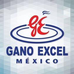 Horario de apertura Gano Excel Mexico Pioneros Diamante Américas, 