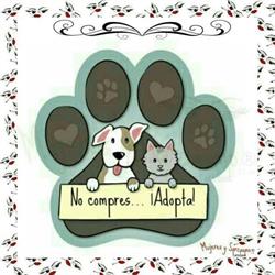 Horario de apertura Clínica Veterinaria Animal Paradise, Ciudad de México