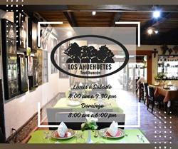 Horario de apertura Restaurante Bar Ahuehuetes, San Juan Teotihuacán de Arista