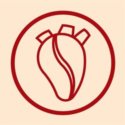 Horario de apertura CaffeCito Toluca Waffles, Crepas & Bagels, Toluca de Lerdo