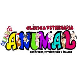 Clínica Veterinaria Mundo Animal en Ometepec (Ometepec) - Horario de apertura