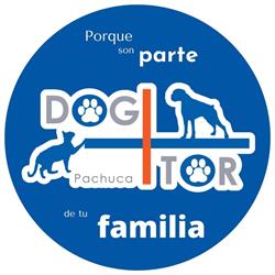 Horario de apertura Especialidades veterinarias Dog+tor, Pachuca de Soto