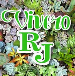 Horario de apertura VIVERO RJ, General Escobedo