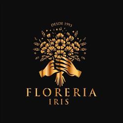 Horario de apertura Floreria Iris, Guadalupe