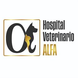 HOSPITAL VETERINARIO ALFA en Apodaca (Apodaca Centro) - Horario de apertura