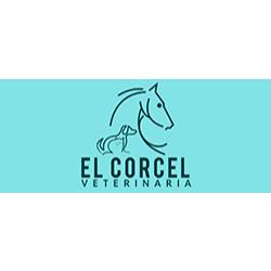 Veterinaria El Corcel en Tepic (Nuevo Progreso) - Horario de apertura