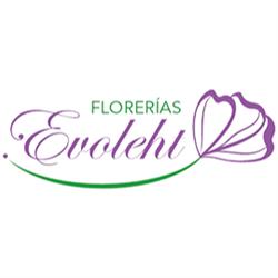 Florería Evoleth en Ciudad de México (San Pedro Mártir) - Horario de apertura