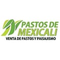 Horario de apertura Pastos De Mexicali, 