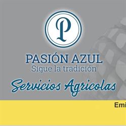 Horario de apertura Pasion Azul S.A. de C.V., San Francisco de Asís