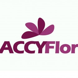 Horario de apertura Accyflor, Coxcacuaco