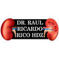 Dr. Raul R. Rico Hdz. en Monterrey (Centro) - Horario de apertura