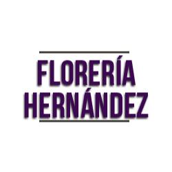 Florería Hernández en San Miguel de Allende (Palmita De Landeta) - Horario de apertura