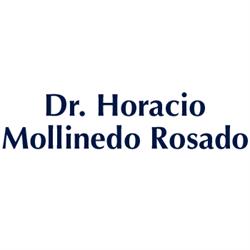 Dr. Horacio Mollinedo Rosado en Villahermosa (Jesus Garcia) - Horario de apertura