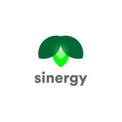 Grupo Sinergy en Ciudad de México (Parque San Andrés) - Horario de apertura