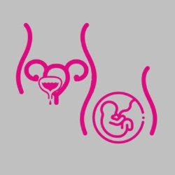 Uroginecologia en Los Mochis (Sector Fatima) - Horario de apertura