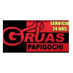 Grúas Papigochi en Ciudad Guerrero Centro (Centro) - Horario de apertura