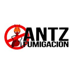 Antz Fumigación en Gómez Palacio (Centro) - Horario de apertura