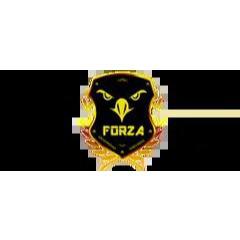 Forza Y Calidad Seguridad Privada en San Luis Potosí (Jardines Del Sur) - Horario de apertura