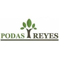 Podas Para Huertas De Aguacates Reyes en Nuevo San Juan Parangaricutiro (La Asuncion) - Horario de apertura