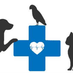 Horario de apertura Veterinaria Zona Zoo, Ecatepec de Morelos