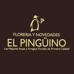 Horario de apertura Florería y Novedades El Pingüino, Tijuana