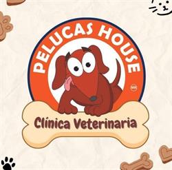 Pelucas House en Ciudad del Carmen (23 De Julio) - Horario de apertura