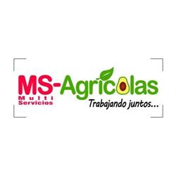 Horario de apertura Multi Servicios Agricolas de Tacambaro, 