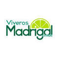 Viveros Madrigal en Uruapan (Palito Verde) - Horario de apertura