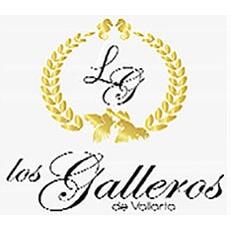 Mariachi Los Galleros De Vallarta en Puerto Vallarta (Altavista) - Horario de apertura